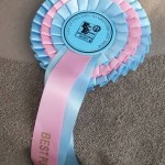 Sam BPIB Rosette