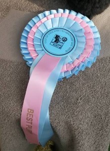 Sam BPIB Rosette